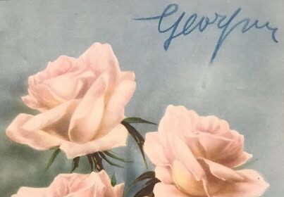 Rosa Littoria