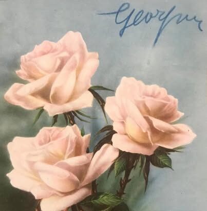 Rosa Littoria