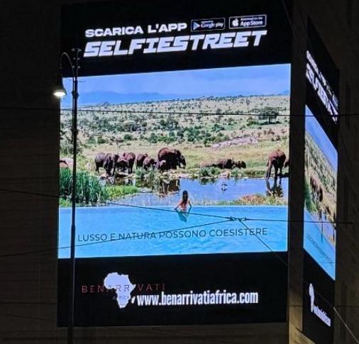 Quando l’Africa illumina la città