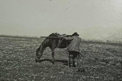 LA VITA NELLE PALUDI PONTINE PRIMA DELLA BONIFICA
