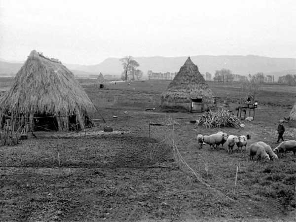 Dalla “Mal’Aria” alla Bonifica: la storia di una battaglia italiana