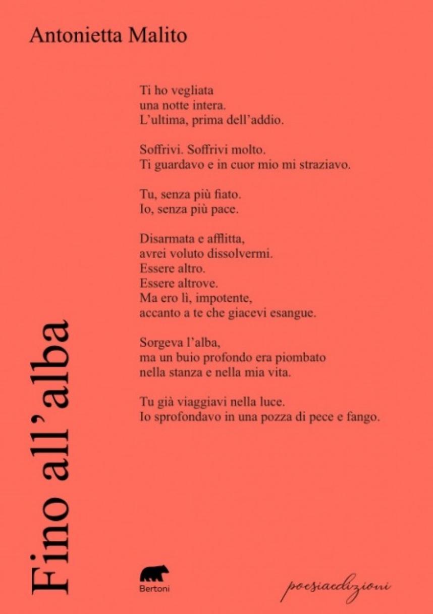 📖"MADRE DI ETERNO AMORE "/ di Antonietta Malito (poesia tratta dal libro “Fino all’alba”)