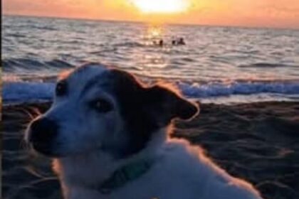Giorgio e l'amore incondizionato