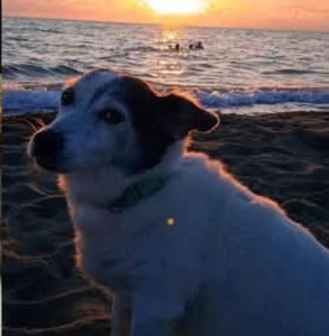 Giorgio e l'amore incondizionato