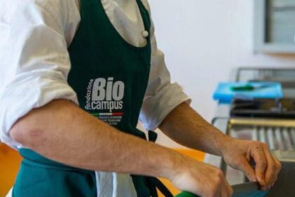 Formazione, lavoro e futuro
