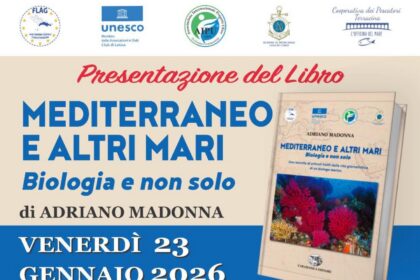 “Mediterraneo e altri mari – Biologia e non solo”