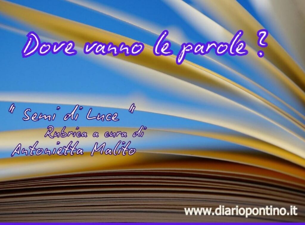 Dove vanno le parole?