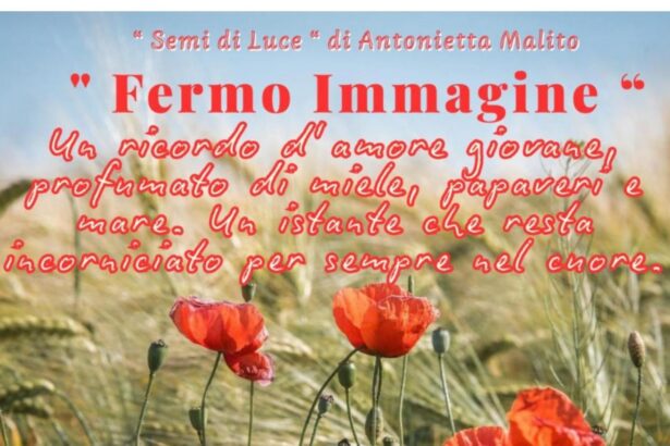 Fermo Immagine