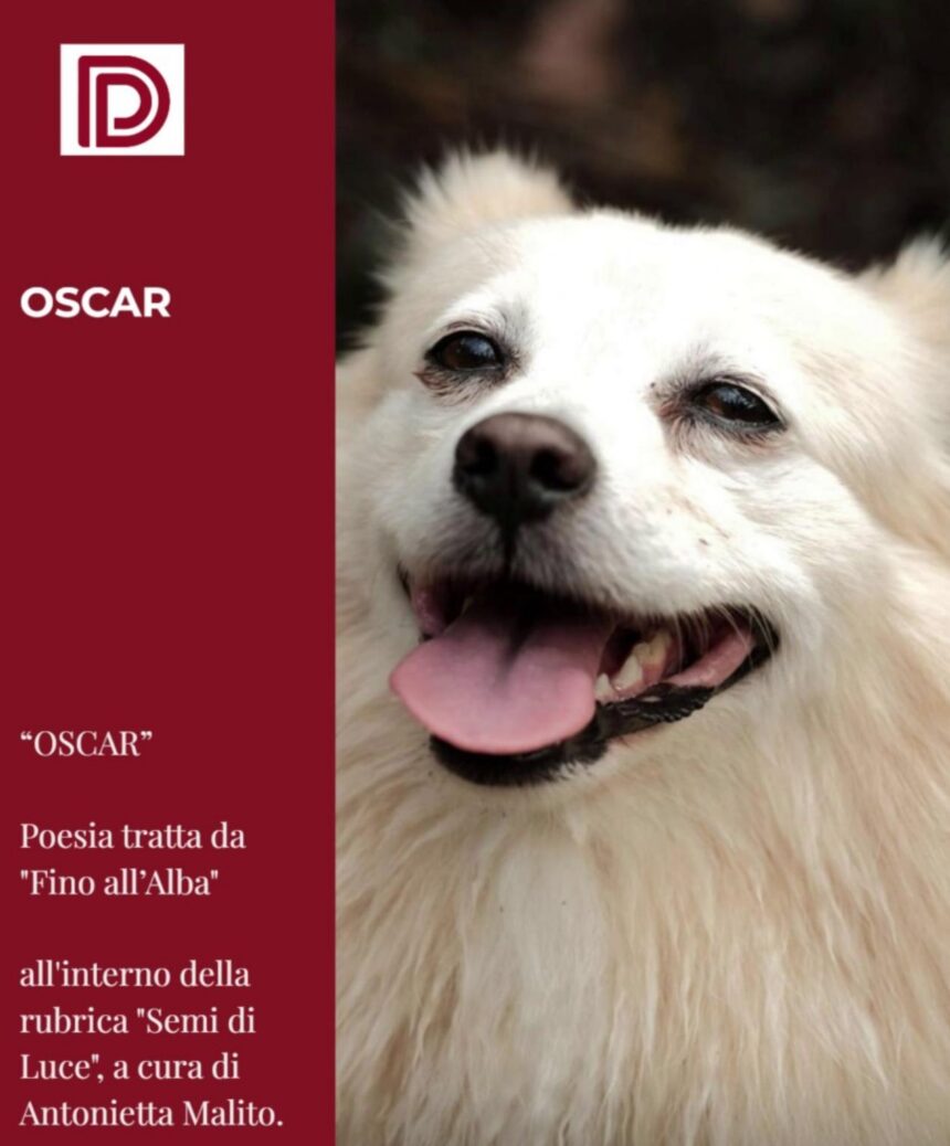 Oscar