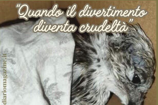 Quando il divertimento diventa crudeltà