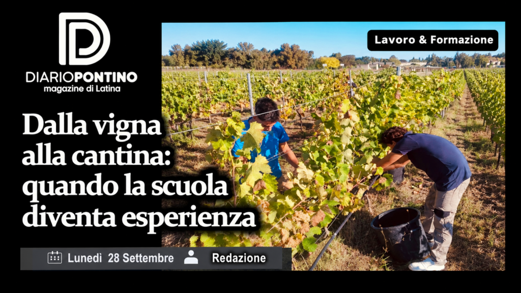 I.I.S. San Benedetto-Einaudi-Mattei