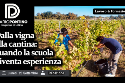 I.I.S. San Benedetto-Einaudi-Mattei